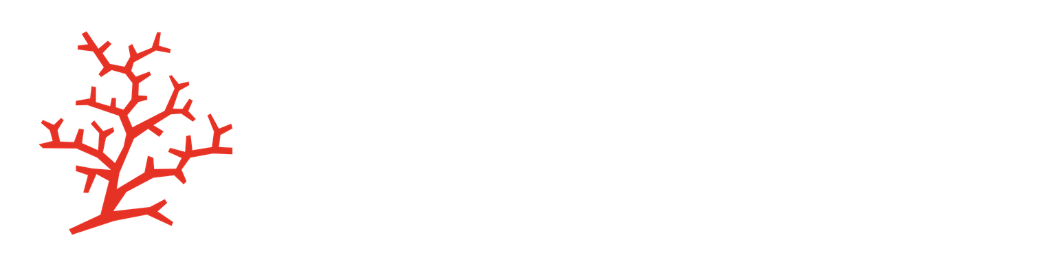Yachting Concept Monaco Logo